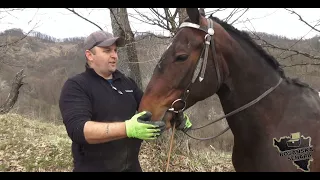 Radit se mora,selo zdravo za život a konji su naša ljubav