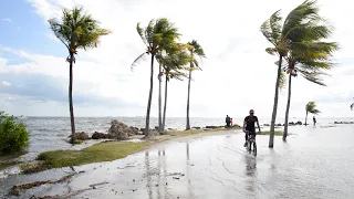 Is Climate Gentrification Happening in Miami?