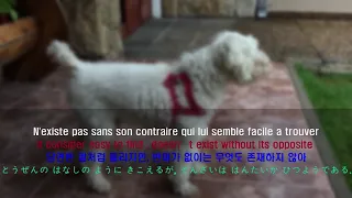 Angèle feat. Roméo Elvis - Tout Oublier / 가사 해석,PAROLES,LYRICS,歌詞 翻訳