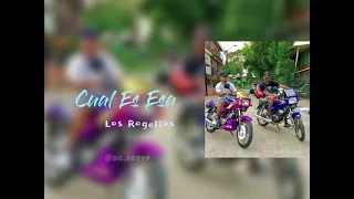 Cual Es Esa🤨 | Los Rogelios (Letra)