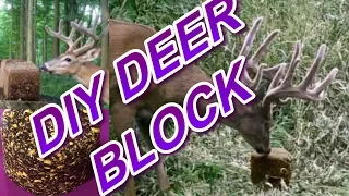 DIY Deer Block Easy Make Solid Feed / Mineral Block