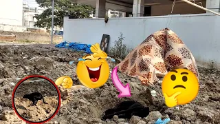 Big Fake lion vs prank Dog must Watch funny video will make You  laugh