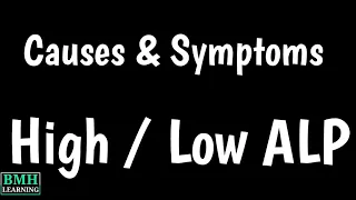 Causes Of High Alkaline Phosphatase In Blood | Symptoms Of High ALP |