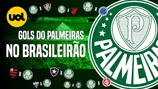 PALMEIRAS CAMPEÃO BRASILEIRO 2023! VEJA TODOS OS GOLS DA CAMPANHA DO TÍTULO