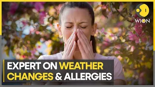 How climate change is making seasonal allergies worse | WION Climate Tracker