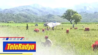 TeleRadyo Balita (5 April 2022)