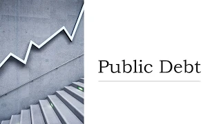 Public Debt