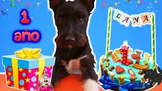 FIESTA DE CUMPLEAÑOS de Lana! El PASTEL y los REGALOS! (2nda parte)