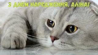 З Днем народження, Аліна! (Котики)