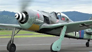 Focke Wulf Fw-190 ‘Butcher Bird’  Warbirds Over Scone