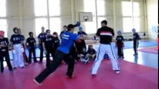 INTENSIVE POINT FIGHT DIDACTIC defensive side kick