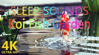 Koi Fish Garden | Relaxing music | Sleep Sounds | Quiet Meditation | Sony a7m4