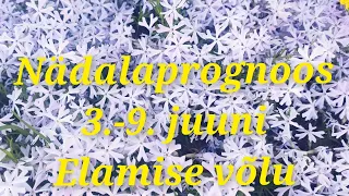 Nädalaprognoos 3.-9. juuni 2024 @elamisevolu