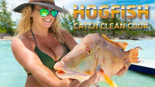 The BEST tasting fish in the FLORIDA KEYS... Patch Reef Fishing for Hogfish while Snorkeling