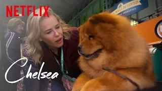 Chelsea's Day at Crufts Dog Show | Chelsea | Netflix