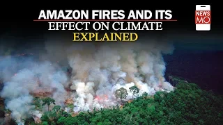 Amazon Rainforest Fire: All you need to know #NewsMo