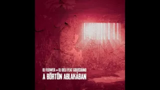 DJ Flower & DJ Deli ft. Goldsound Börtön Ablakában (Shine Official Remix)