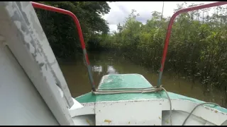 Tribu los Boras. Iquitos - Loreto