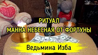 МАННА НЕБЕСНАЯ ОТ ФОРТУНЫ. ДЛЯ ВСЕХ. ВЕДЬМИНА ИЗБА ▶️ МАГИЯ