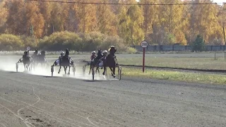 05. 10. 2019 Заезд №7 (97). Всероссийский чемпионат женщин-наездниц памяти Марии Бурдовой II Гит