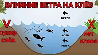 То, что Ты Не Знал о Ветре/Влияние Ветра на Клёв Рыбы/Где Ловить в Ветер?