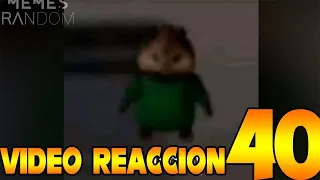 REACCION 40 MEMES RANDOM 415