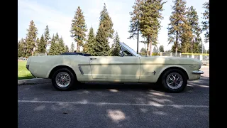 1965 Ford Mustang  Convertible Walk-around Video