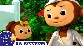 Песня про обезьян!! | новые песенки для детей и малышей | Little Baby Bum Russian