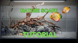 The Ultimate Aquascaping Tutorial: Step-by-Step Expert Tips