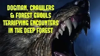 DOGMAN, CRAWLERS & FOREST GHOULS TERRIFYING ENCOUNTERS DEEP IN THE FOREST