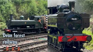 A day out at the beautiful dean forest railway 17/5/23