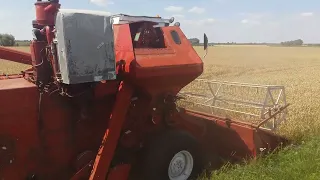 Нива СК-5М. Жнива 2016 рік. (архів)