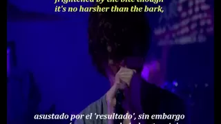 Arctic Monkeys - 505 (inglés y español)