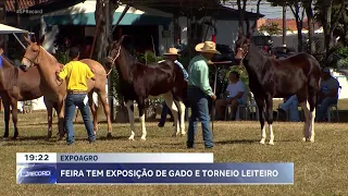 Expoagro: feira tem exposição de gado e torneio leiteiro em Franca