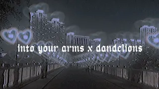 into your arms x dandelions (slowed and reverb)