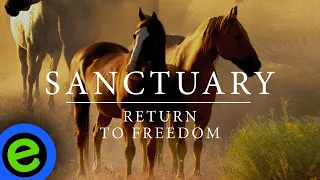 Sanctuary - Return to Freedom (2023) | Documentary