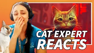 Cat Behavior Expert Reacts To Stray