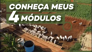 CONHEÇA MEUS 4 MÓDULOS