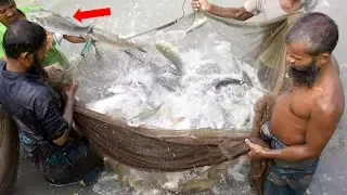 Amazing Big Fishing Catching Skill, Traditional Net Fishing And Net Fishing in The Village Pond-2019