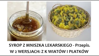 Syrop z Mniszka lekarskiego + wszystko o mniszku + mlecz a mniszek. ZŻ 66