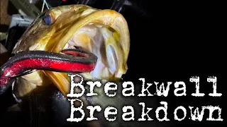 Breakwall Breakdown eps 3 | Fishing the cold snap