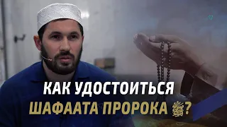 Как удостоиться шафаата Пророка ﷺ? | Мухаммад Сулейманов - имам мечети им. Имама Шамиля