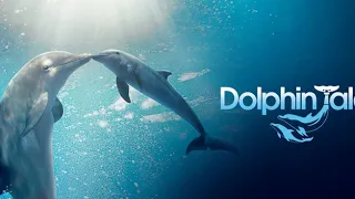 Dolphin Take 2 Movie Score Suite - Rachel Portman (2014)