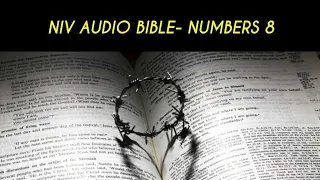 NUMBERS 8 NIV AUDIO BIBLE (with text)