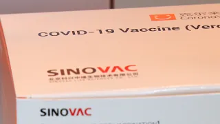 СOVID-щеплення: хроніки вакцинації у Тячівський ОТГ