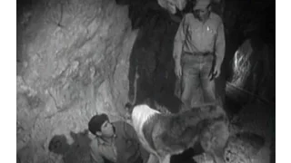 Lassie - Episode #373 - "The Loser" - Season 11, Ep. 21 - 02/07/1965