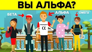 Являетесь ли вы Альфа-самцом в своей группе?