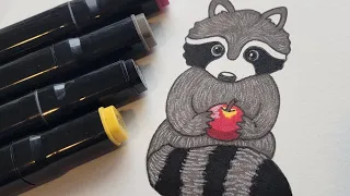 Drawing for Kids - A Cute Raccoon