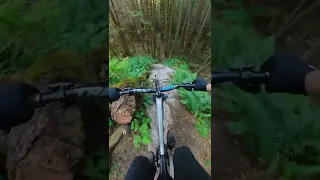 That. Is. Steep.