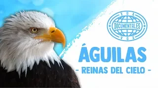 Águilas - Reinas del Cielo - Documental Completo en Español